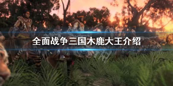 全面战争三国木鹿大王好用吗（全面战争三国木鹿大王攻略）