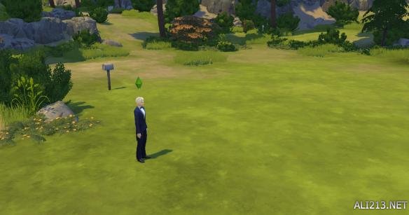 《模拟人生4》同欢共乐温登堡游玩图赏