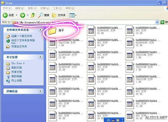 《模拟人生4》Mod存放位置一览