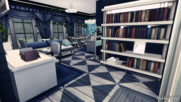 《模拟人生4》无MOD大别墅建造