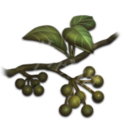 天命奇御材料道具资料大全 天命奇御全合成材料用途详解 铁块