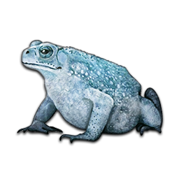 天命奇御关键道具资料全介绍 天命奇御关键道具都有哪些 酒菜