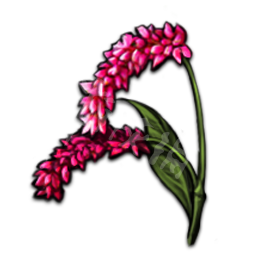 天命奇御关键道具资料全介绍 天命奇御关键道具都有哪些 酒菜