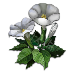 天命奇御材料道具资料大全 天命奇御全合成材料用途详解 铁块