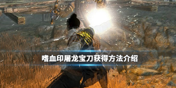 嗜血印屠龙宝刀怎么拿 嗜血印屠龙宝刀属性是固定的吗