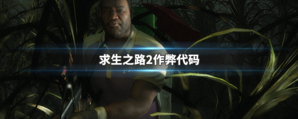 求生之路2作弊代码 求生之路2作弊代码说不是服务器操作员