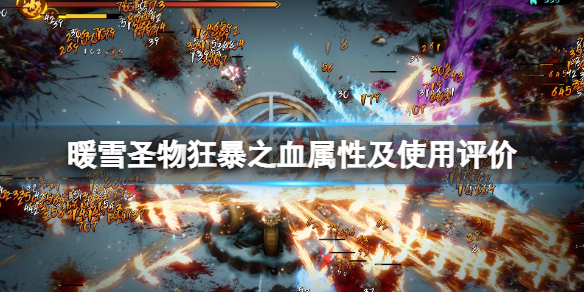暖雪狂暴之血好用吗