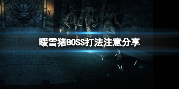 暖雪猪BOSS有什么要注意的（暖雪什么时候上线）