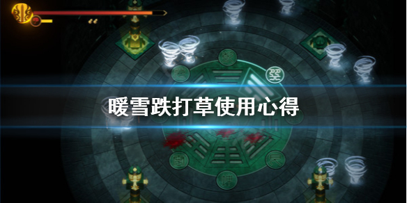 暖雪跌打草好用吗 暖雪儿暖贴的价格