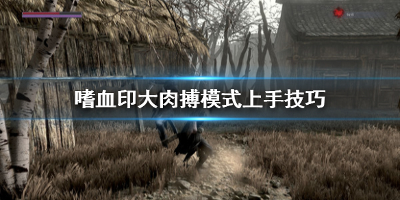 嗜血印大肉搏模式怎么打（嗜血印大肉搏掉落和排名有关吗）