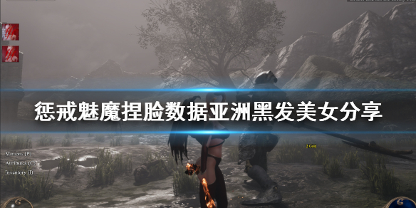 惩戒魅魔捏脸数据亚洲黑发美女分享（惩戒魅魔捏脸御姐）