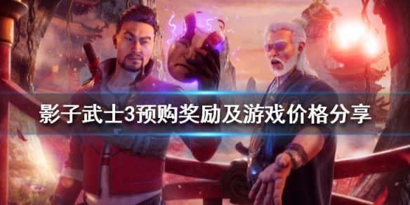 影子武士3多少钱（影子武士23dm）