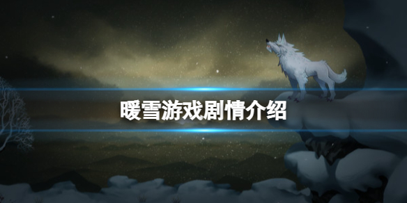 暖雪剧情讲了什么（暖雪阅读答案）