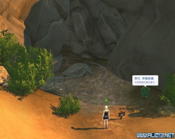 《模拟人生4》园艺种子获得方法图文解析 怎么获得种子 水果种子