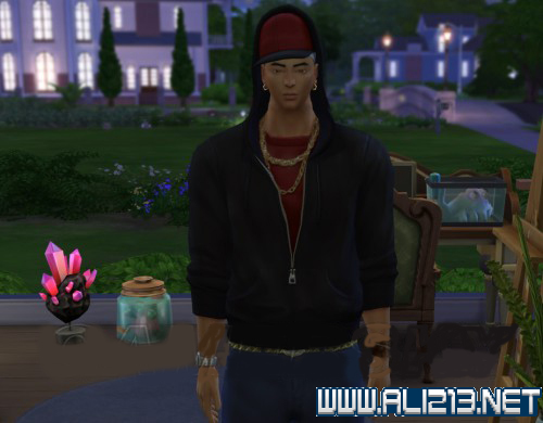 《模拟人生4》全技能一览及赚钱技能分析