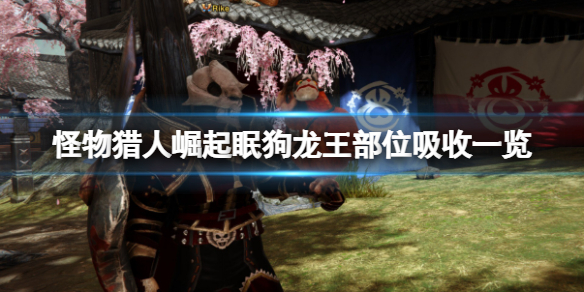 怪物猎人崛起眠狗龙王用什么属性打（怪物猎人rise眠狗龙王的尖爪）