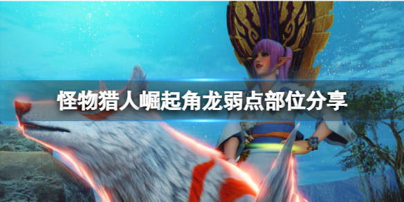 怪物猎人崛起角龙在哪里（怪物猎人崛起角龙在哪里进化）