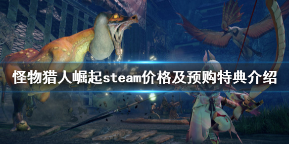 怪物猎人崛起steam上叫什么（怪物猎人崛起是什么平台）