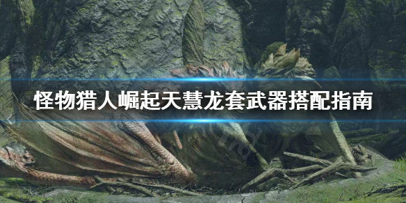 怪物猎人崛起天慧龙套怎么搭配武器（怪物猎人崛起天慧龙多少级解锁）