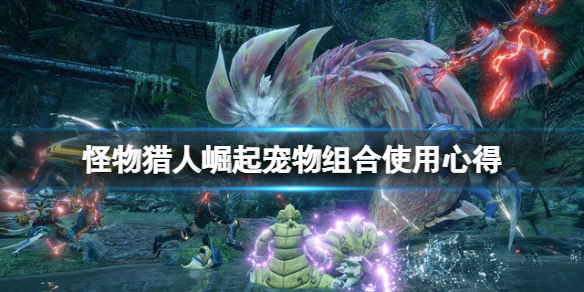 怪物猎人崛起猎犬和猫带什么好 怪物猎人崛起猎犬选择