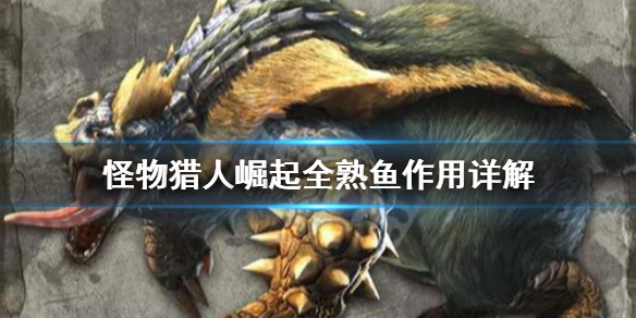 怪物猎人崛起全熟鱼有什么用（怪物猎人崛起所有鱼）