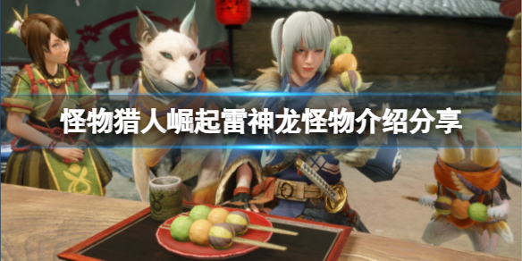 怪物猎人崛起雷神龙弱什么属性（怪物猎人崛起雷神龙弱点）