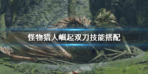 怪物猎人崛起双刀技能怎么选（怪物猎人崛起双刀技能怎么选的）