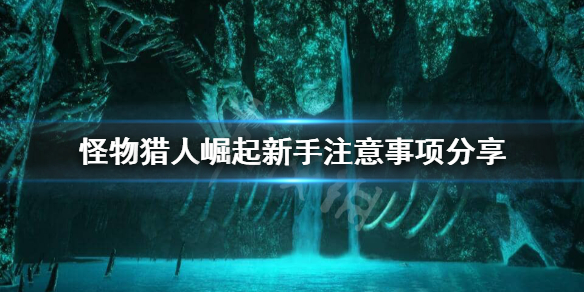 怪物猎人崛起新手怎么玩（怪物猎人崛起新手玩什么武器）