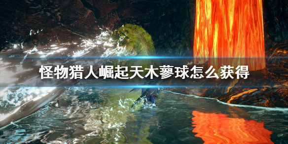 怪物猎人崛起天木蓼球怎么获得 怪物猎人rise 木天