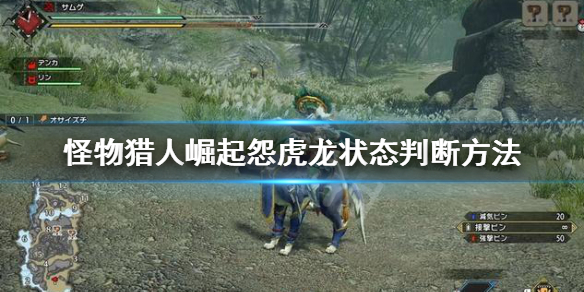 怪物猎人崛起怨虎龙怎么打（怪物猎人崛起怨虎龙怎么打背）