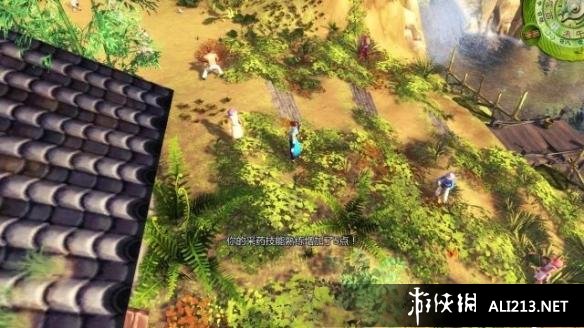 《侠客风云传》冬虫夏草获得方法