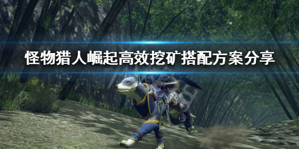 怪物猎人崛起采集套怎么配（怪物猎人崛起采集卡）