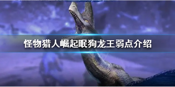 怪物猎人崛起眠狗龙王的弱点在哪（崛起眠狗龙王的尖爪）