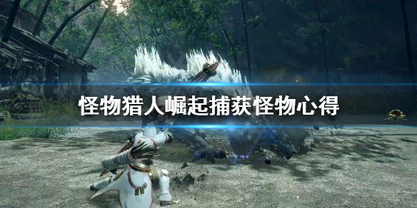 怪物猎人崛起怎么捕获怪物（怪物猎人崛起捕获怪物在哪看）