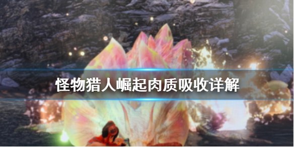 怪物猎人崛起肉质是什么意思