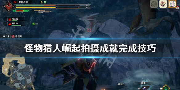 怪物猎人崛起拍摄任务怎么做（怪物猎人崛起 拍照任务）