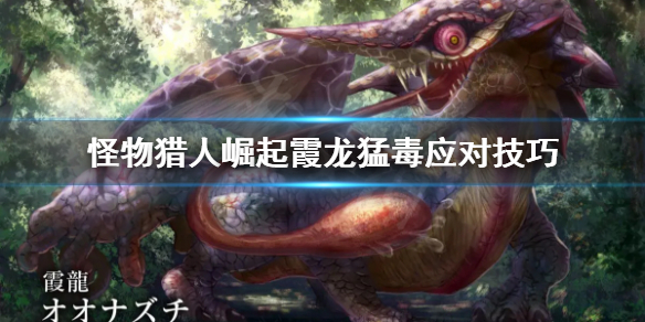 怪物猎人崛起霞龙猛毒怎么打（怪物猎人崛起霞龙掉落）