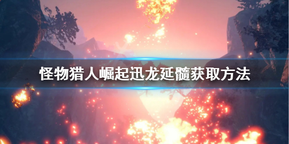 怪物猎人崛起迅龙延髓怎么获得（怪物猎人崛起迅龙延髓在哪刷）