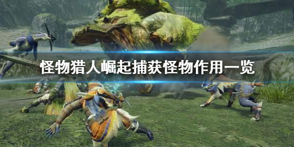 怪物猎人崛起捕获有什么用（怪物猎人崛起捕获之后如何获得材料）