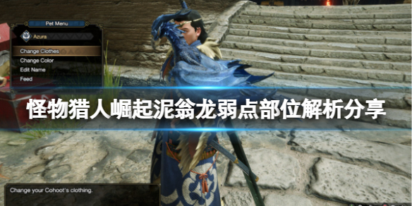 怪物猎人崛起泥翁龙怎么打（怪物猎人崛起泥翁龙武器解锁）