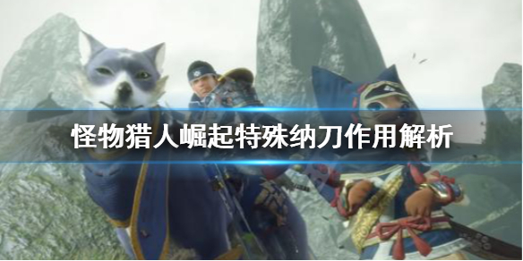 怪物猎人崛起特殊纳刀有什么用 怪物猎人特殊纳刀是什么