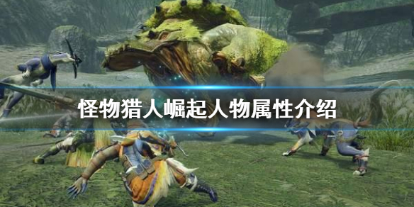 怪物猎人崛起人物属性怎么看（怪物猎人崛起怎么看怪物攻击属性）