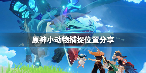 原神动物在哪捕捉 原神小动物怎么抓