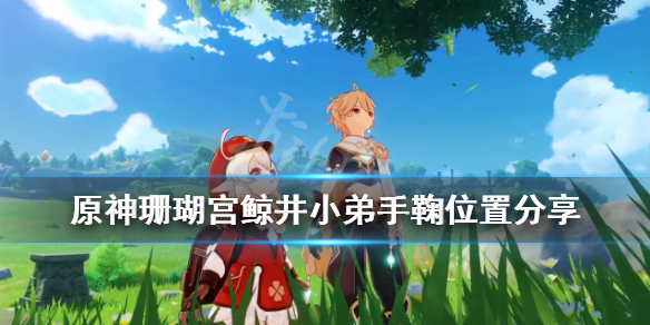 原神珊瑚宫手鞠在哪里 原神珊瑚宫任务怎么触发