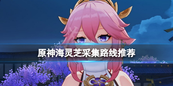 原神海灵芝怎么采集 原神海灵芝采集点图片