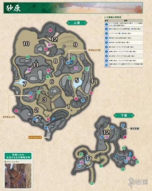 怪物猎人崛起开荒要注意什么 怪物猎人崛起开荒小技巧分享