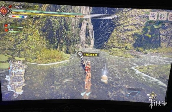 怪物猎人崛起丸鸟的蛋怎么获得 丸鸟的蛋获得方法