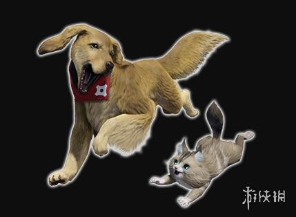 怪物猎人崛起特典怎么兑换 怪物猎人崛起特典兑换方法分享