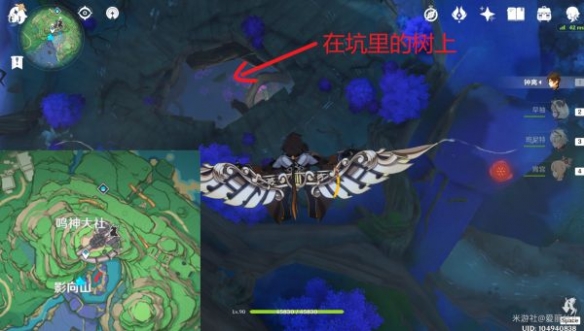 原神鬼兜虫哪里多 鬼兜虫收集点位介绍