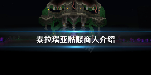 泰拉瑞亚骷髅商人入住条件是什么（泰拉瑞亚骷髅商人长什么样）